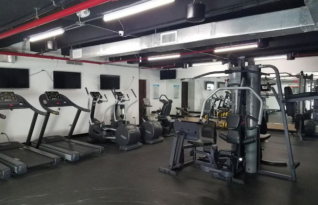 Mare 1562 - Photo 23