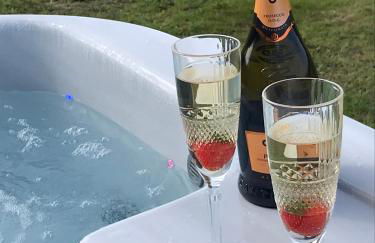 Ty Beti at Gorlan yr Efail Shepherds Hut with Private Hot Tub - Foto 40