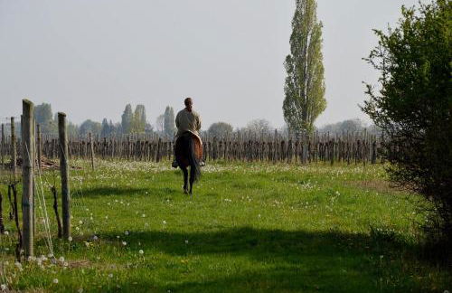 Società Agricola La Staccionata - Foto 36