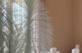 Eri's House - Photo 1