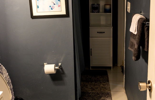 DTWN luxury condo 99 percent Walk score - Foto 62