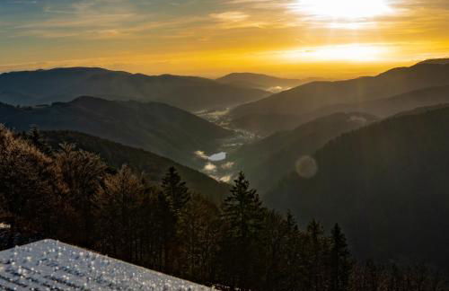 Les toits de la Citadelle - Foto 22