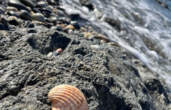 Premium Luxury-casares Del Mar-seaside Apartment - Foto 23