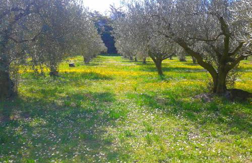 Mas Sansonnets - Foto 17