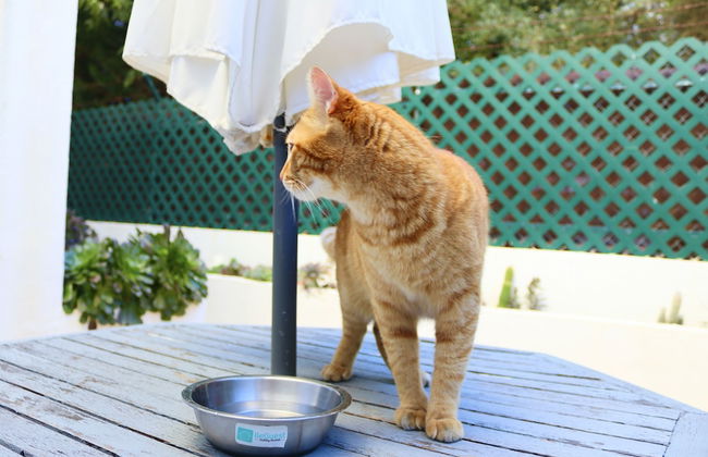 BeGuest Gandarinha Apartment - Foto 20