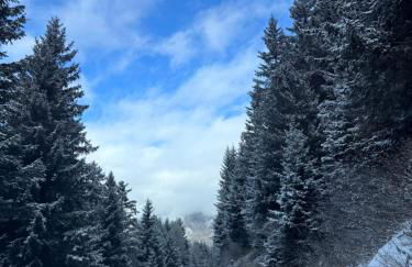 Ai Suma Residence - Photo 59