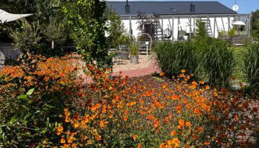 Botanica - Foto 3, Garden, Garden view