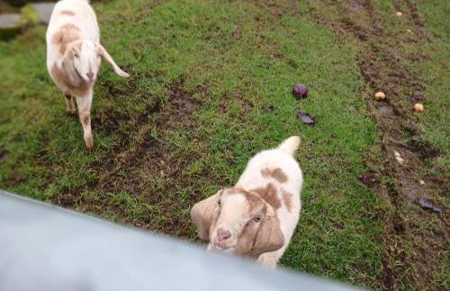 Old Coach House - Foto 54