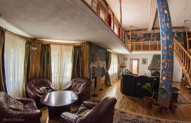 Vila Flora Viseu de Jos - Foto 13