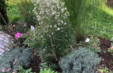 SeeZeichen-Apartment No 26 - Foto 29