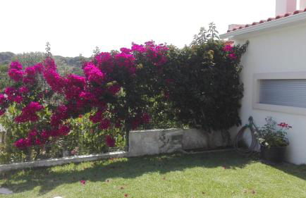 Moradia no Meco - Foto 13