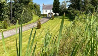 Lime Tree House - Foto 4