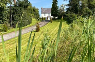 Lime Tree House - Foto 4