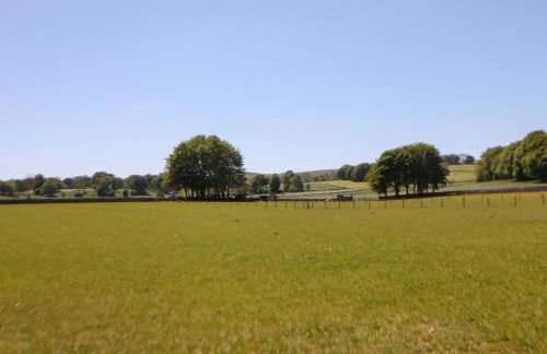 The Shavings - Photo 21