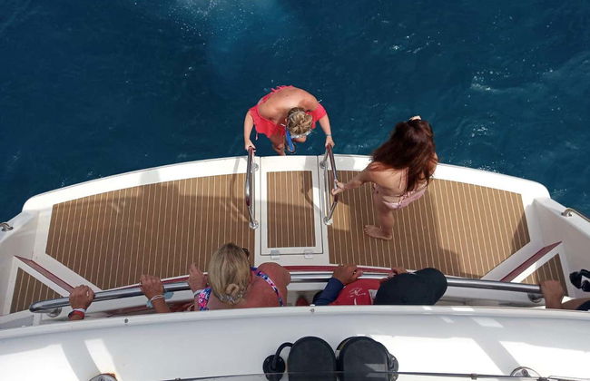 Los Cristianos Whale + Dolphin Watching Boat Tour - Photo 7