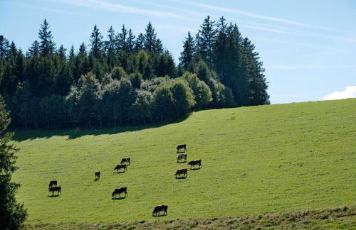 Grundhäusle Gütenbach - Foto 33