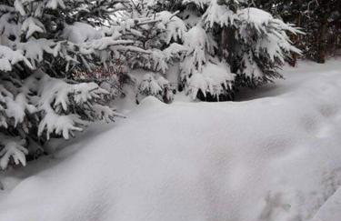 Na Pograniczu domek w górach - Foto 15