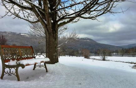 Fryars' Green at Tennessee RiverPlace - Foto 75