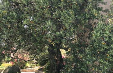 Residence Motel Corsicana - Foto 5