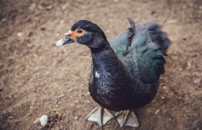 Hotel Guânxi - Foto 16