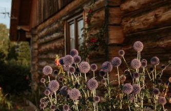 Dom Gościnny Sowia Stópka - Foto 61