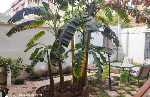 Cozy apartamento en Ruzafa para 2-3 personas con aire acondicionado y salida directa a terraza - Photo 11