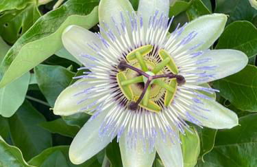 La Casa di Zia Rita - Foto 34