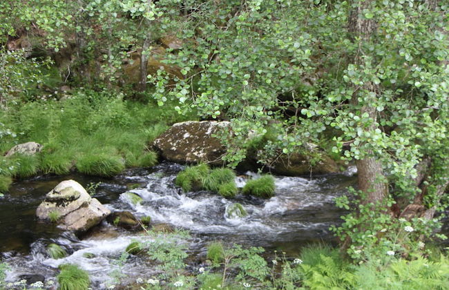 Casa Moinho da Mouta - Foto 22