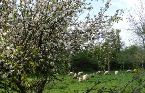 The Calf Cotts - Foto 33