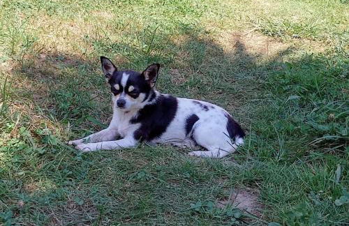 PequeñoCabárceno - Foto 69