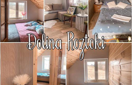 DOLINA ROZTOKI-mieszkanie,pokoje lub domek z lokalem na poddaszu - Foto 1