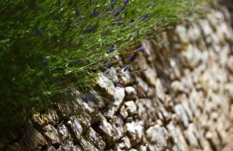 Castello di Fighine - Foto 25