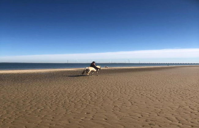 Cozy 4-person Stay at Rustenpolder - Photo 27