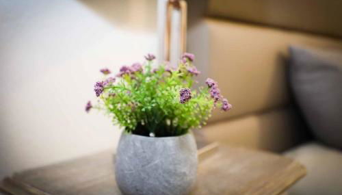 Casa Fundo de Vila - Foto 2