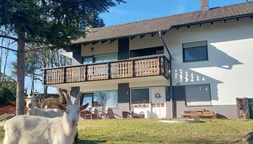 Charmantes Albbruck Rückzugsort - Foto 2