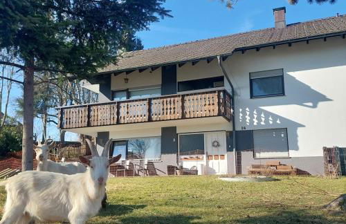 Charmantes Albbruck Rückzugsort - Foto 2