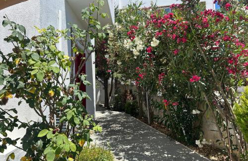 Solid Residence - Foto 30