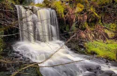 Glenariff Forest Getaway - Foto 1