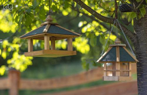 Lelu Spa&Natura - Foto 75