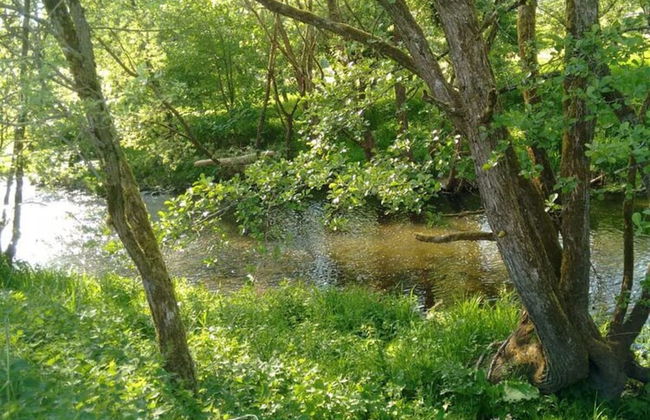 Holiday Home Fairytale hut - Foto 17