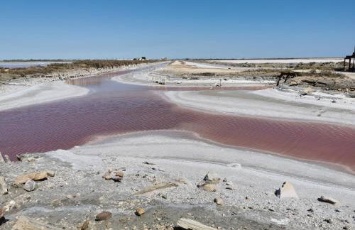 Studio neuf Garance 35 m2 Salin de Giraud - Foto 15