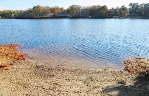 Pond Front Beach Pet Friendly AC WiFi - Photo 23