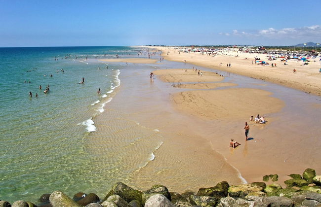 Tavira Palm Tree by Homing - Foto 25