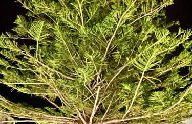 Miracles Suites by Anastasia Princess, Adults Only - Foto 42