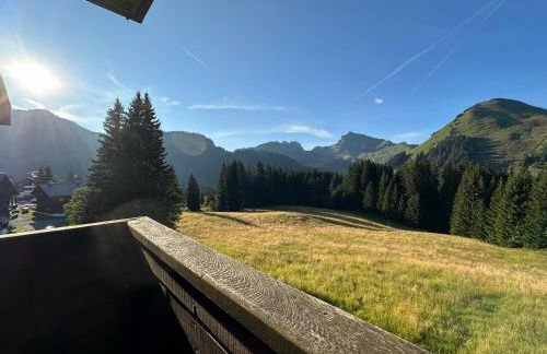 Studio au cœur du Praz-de-Lys - Les Pralyssimes - Foto 9