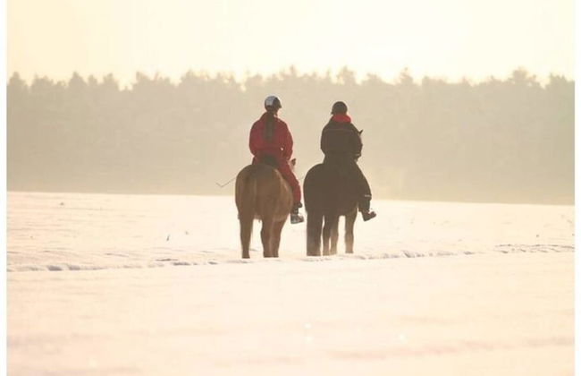 Apartment at the Icelandic Horse Farm - Photo 13