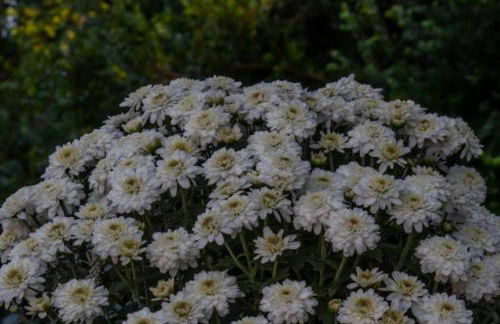 Beachfront Romantica Place Ground floor - Foto 27