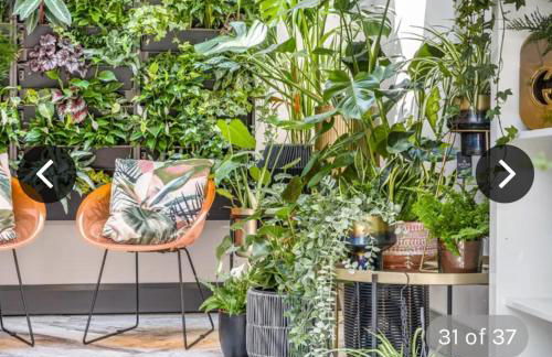 Ivy House, 6-beds, Sleeps 19 With Hot Tub - Foto 5