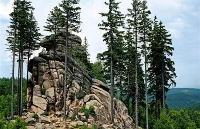 Apartment in Harz Near Brocken Railway - Foto 33