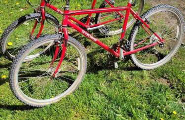 Riverfront Getaway on the Wild and Scenic - Foto 44